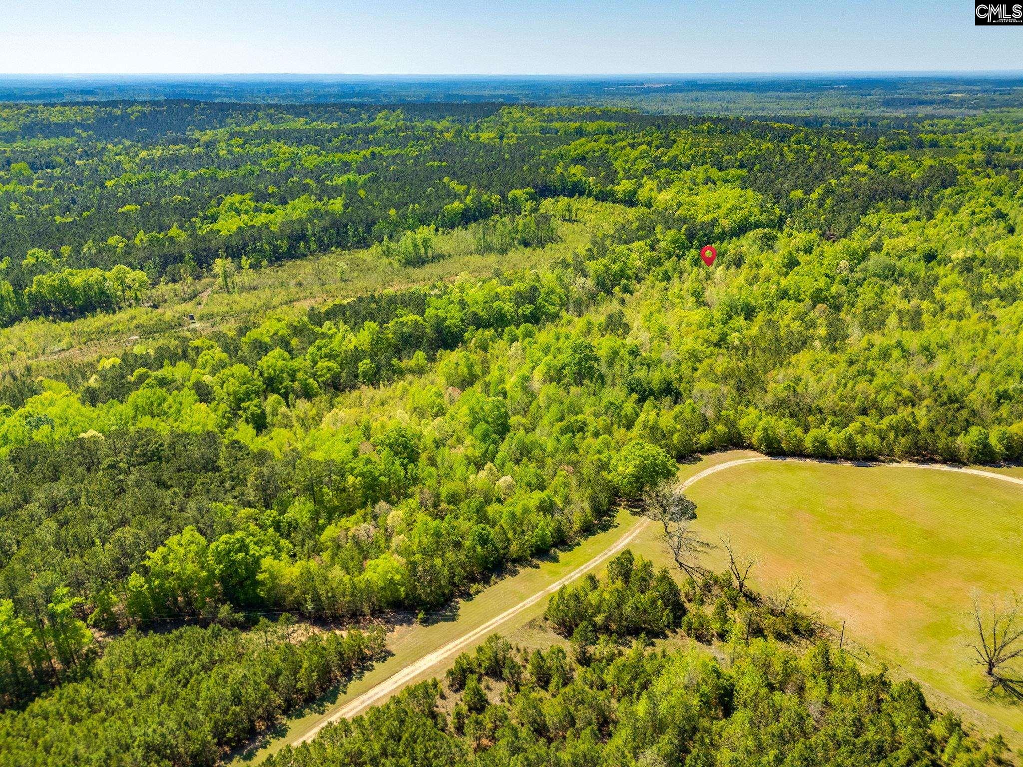 Black River Road Rembert, SC 29128 - Photo 5 of 8