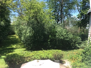 14935 West Old School Road Mettawa, IL 60048 - Photo 67 of 68