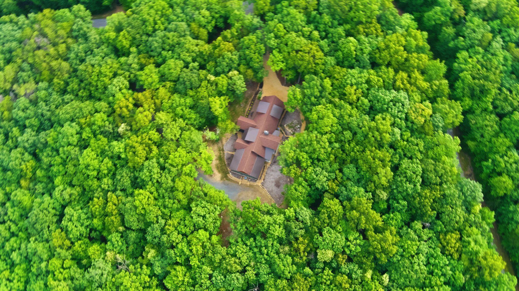454 Highlands Forest Road Rising Fawn, GA 30738 - Photo 42 of 94 rp2606251-1093
