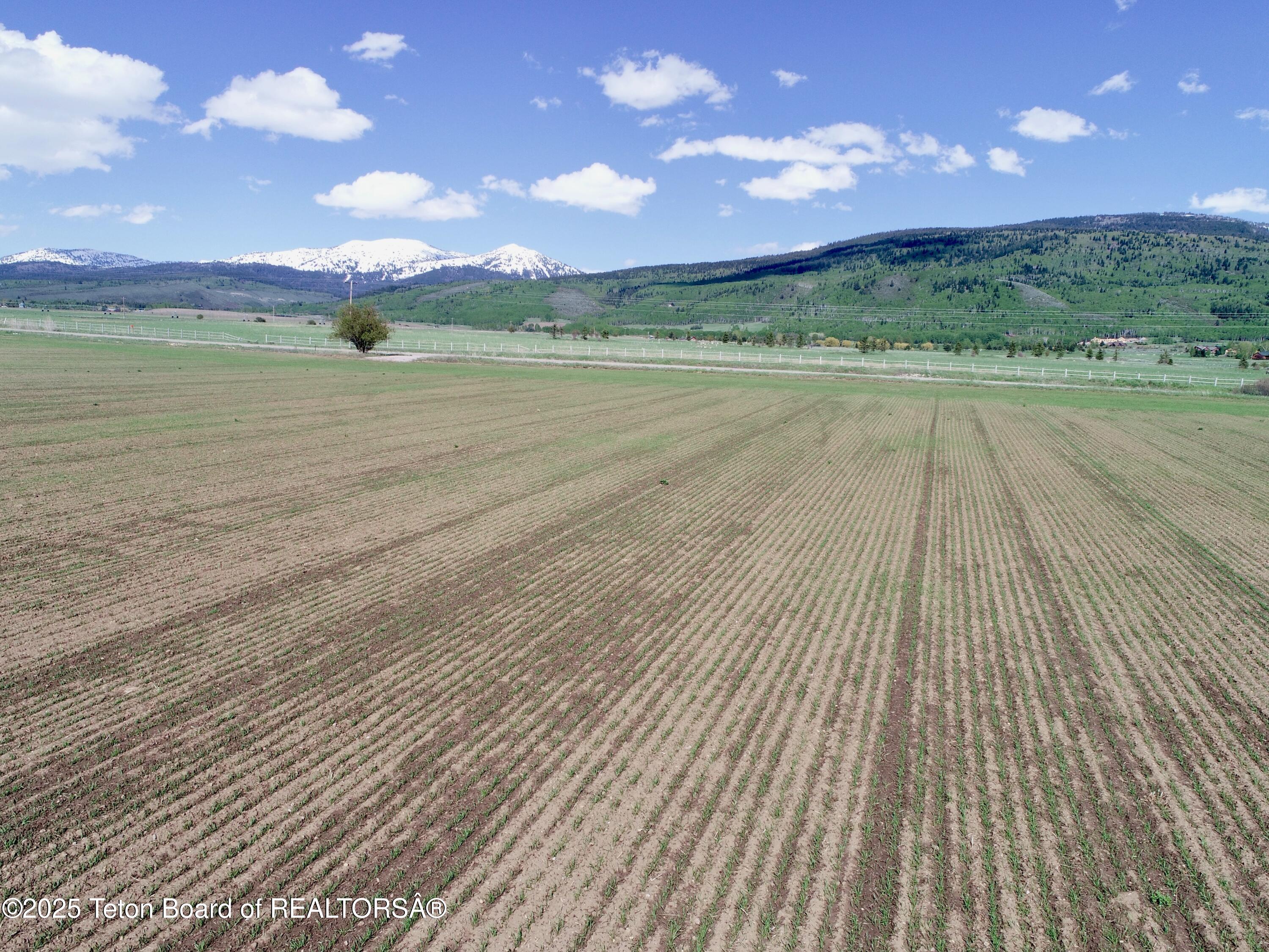 Tbd South Stateline Road Driggs, ID 83422 - Photo 23 of 31 Hill-0016 (3)