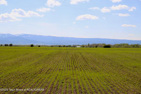 $475,000 | Tbd South Stateline Road, Driggs, ID 83422