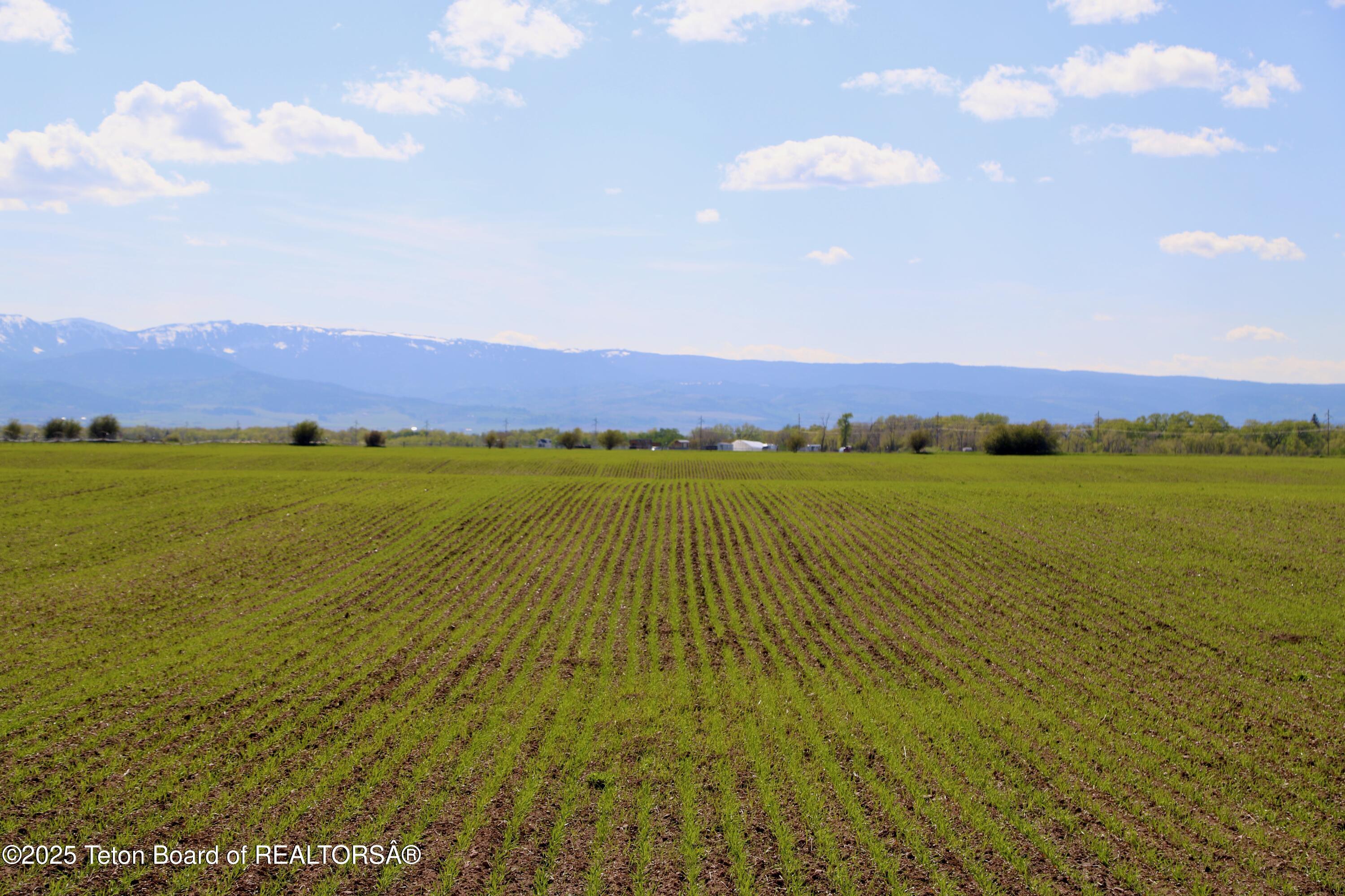 Tbd South Stateline Road Driggs, ID 83422 - Photo 28 of 31 Hill-7225