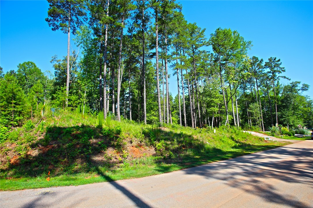 1359 Hbr Rdg Road Seneca, SC 29672 - Photo 20 of 39 Mature trees delineate this prime residential lot with excellent street frontage.