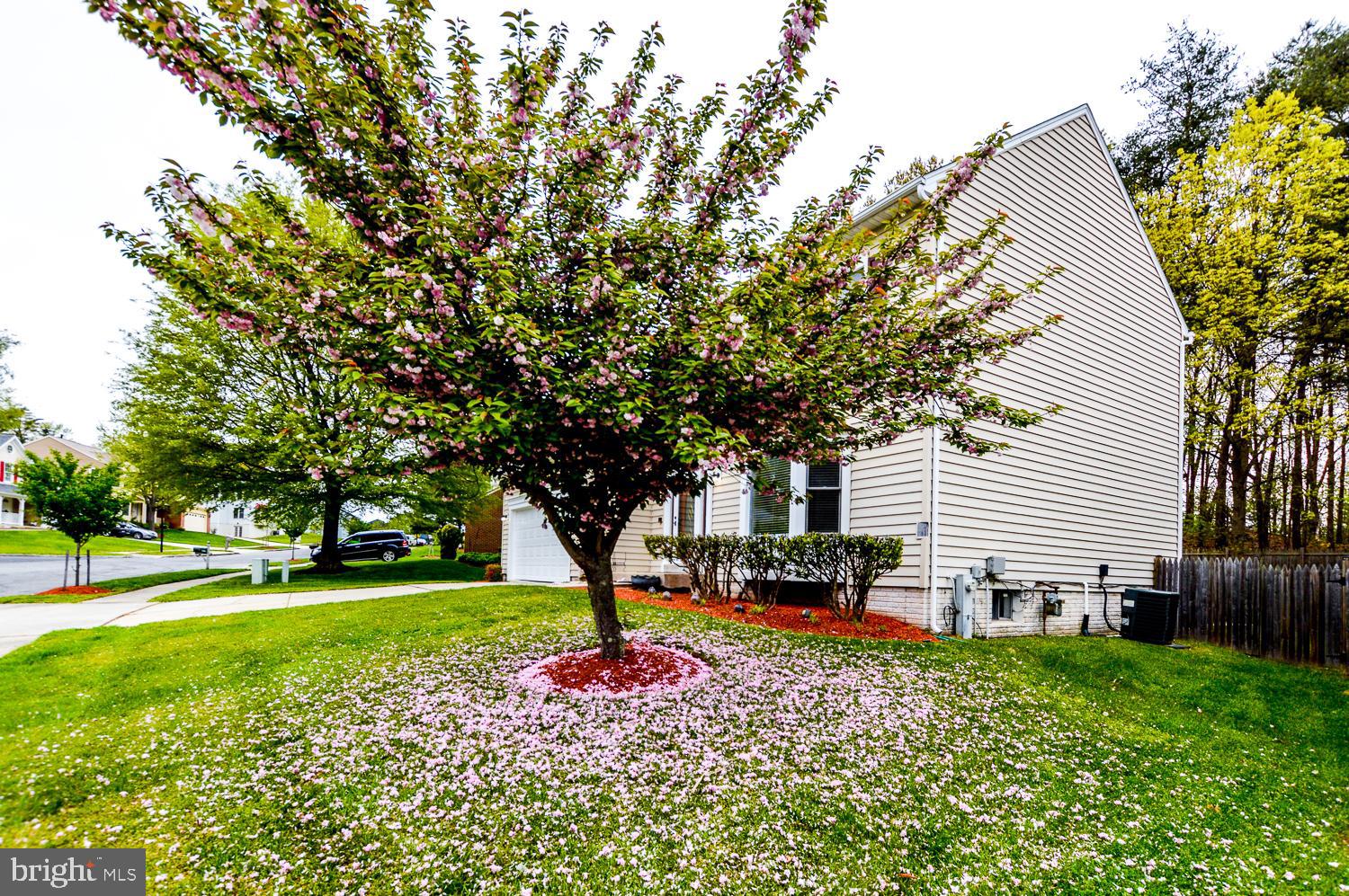 9412 Bluefield Road Springdale, MD 20721 - Photo 10 of 70 Gallery Image 10