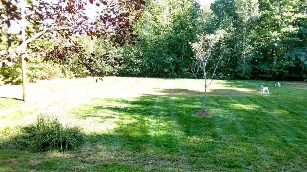 10 Grappone Road Moultonborough, NH 03254 - Photo 32 of 34 Gallery Image 32