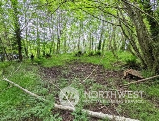 9636 Hunter Point Road Northwest Olympia, WA 98502 - Photo 2 of 9 a view of forest