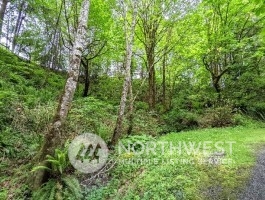 9636 Hunter Point Road Northwest Olympia, WA 98502 - Photo 4 of 9 a view of a lush green forest