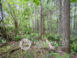 9636 Hunter Point Road Northwest Olympia, WA 98502 - Photo 6 of 9 a view of a lush green forest