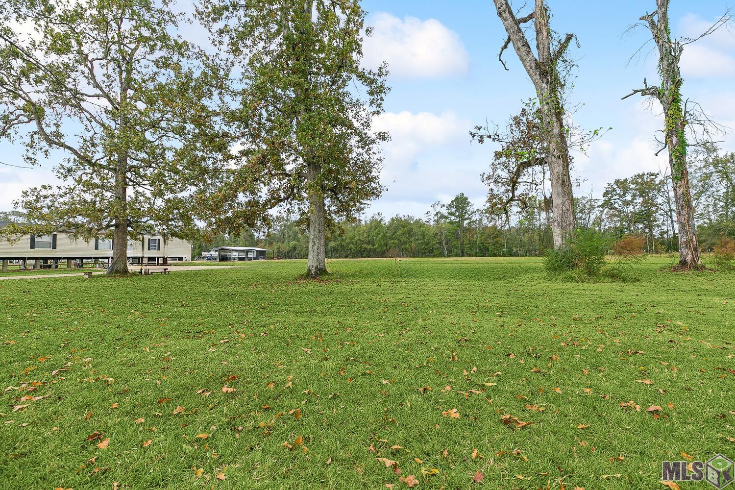 45162 Butch Gore Road St. Amant, LA 70774 - Photo 10 of 11