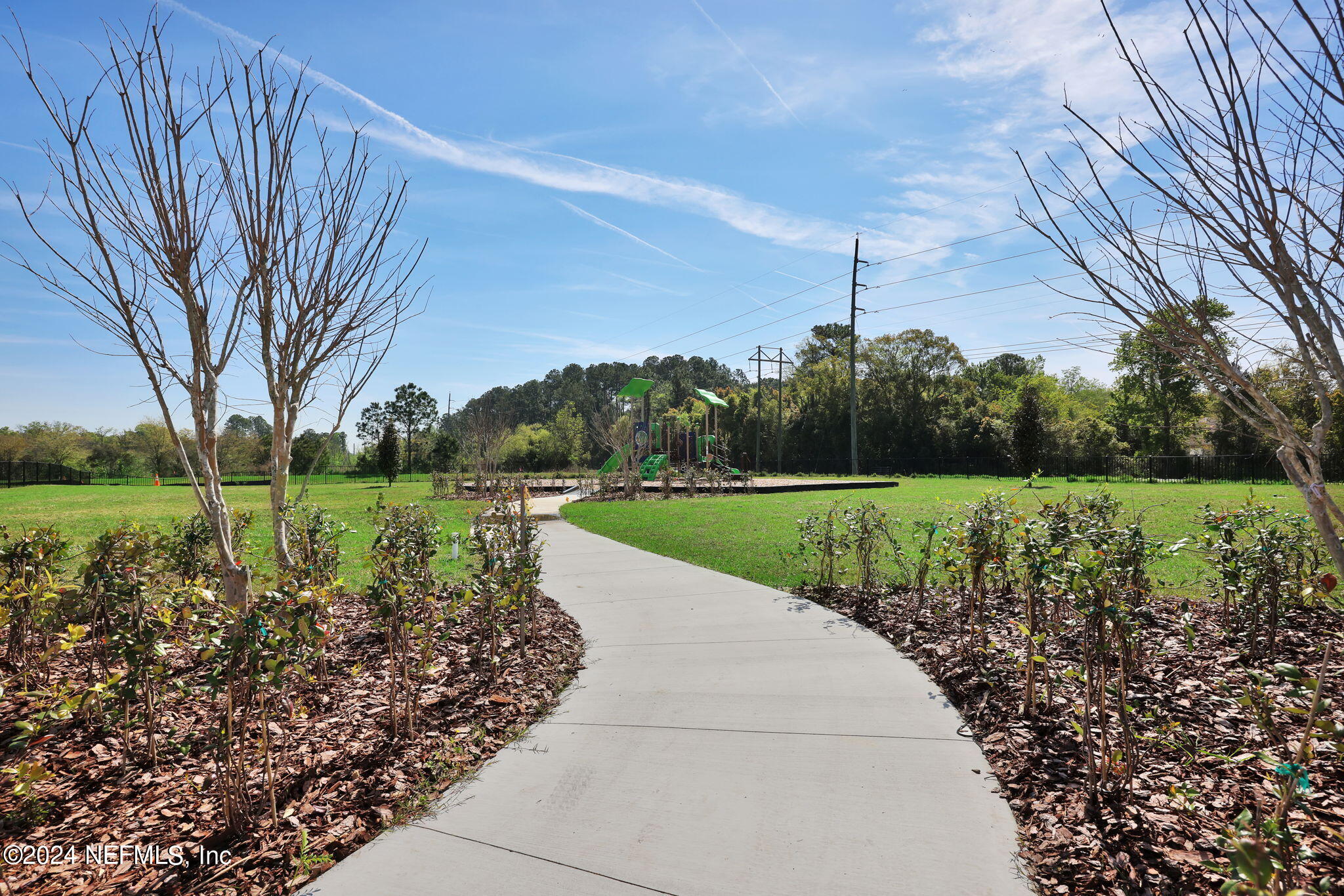 5460 Integrity Way Jacksonville, FL 32244 - Photo 26 of 31 a view of a park with large trees