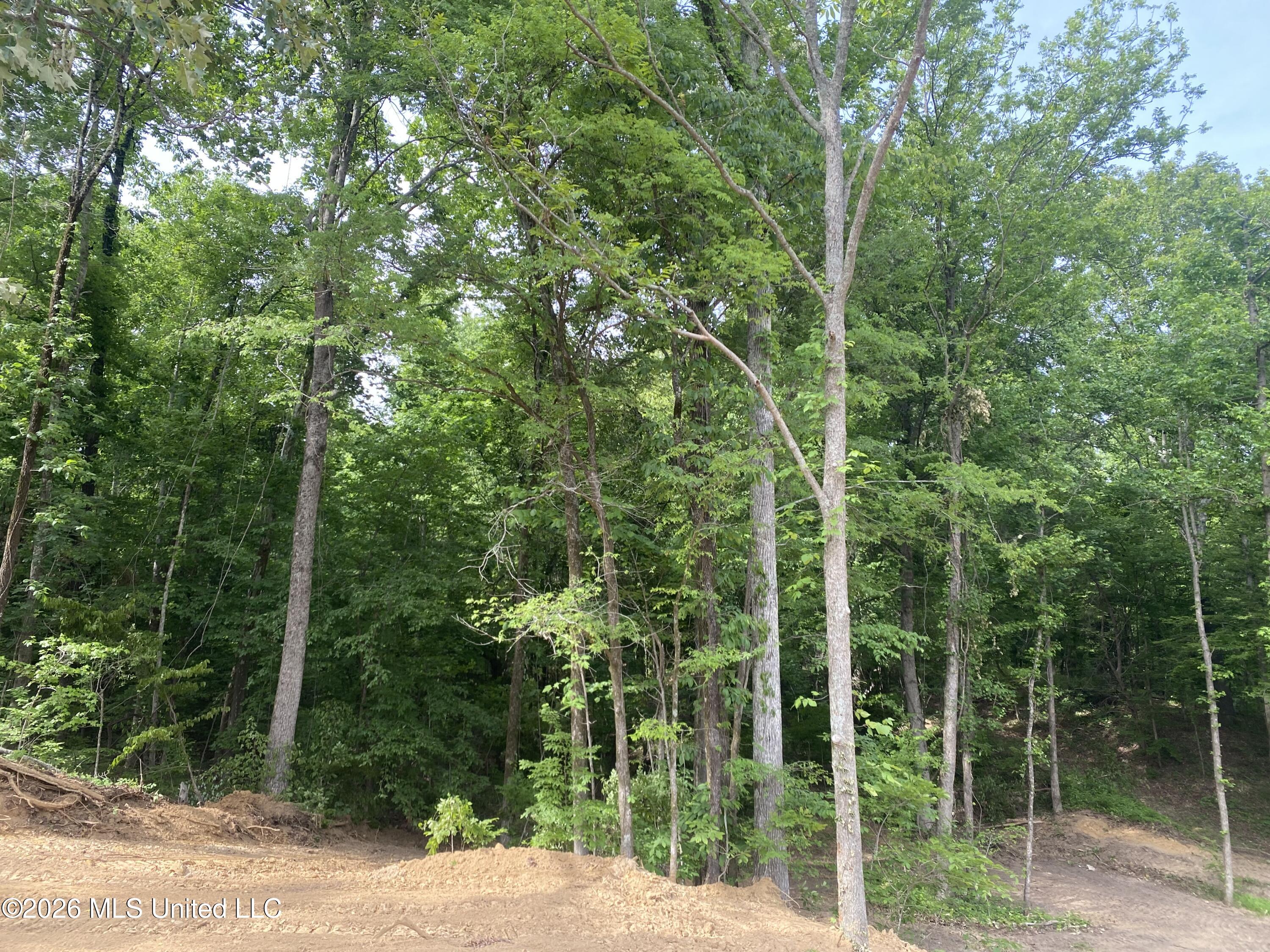 5317 Highway 3 Sarah, MS 38665 - Photo 27 of 28 IMG_7916