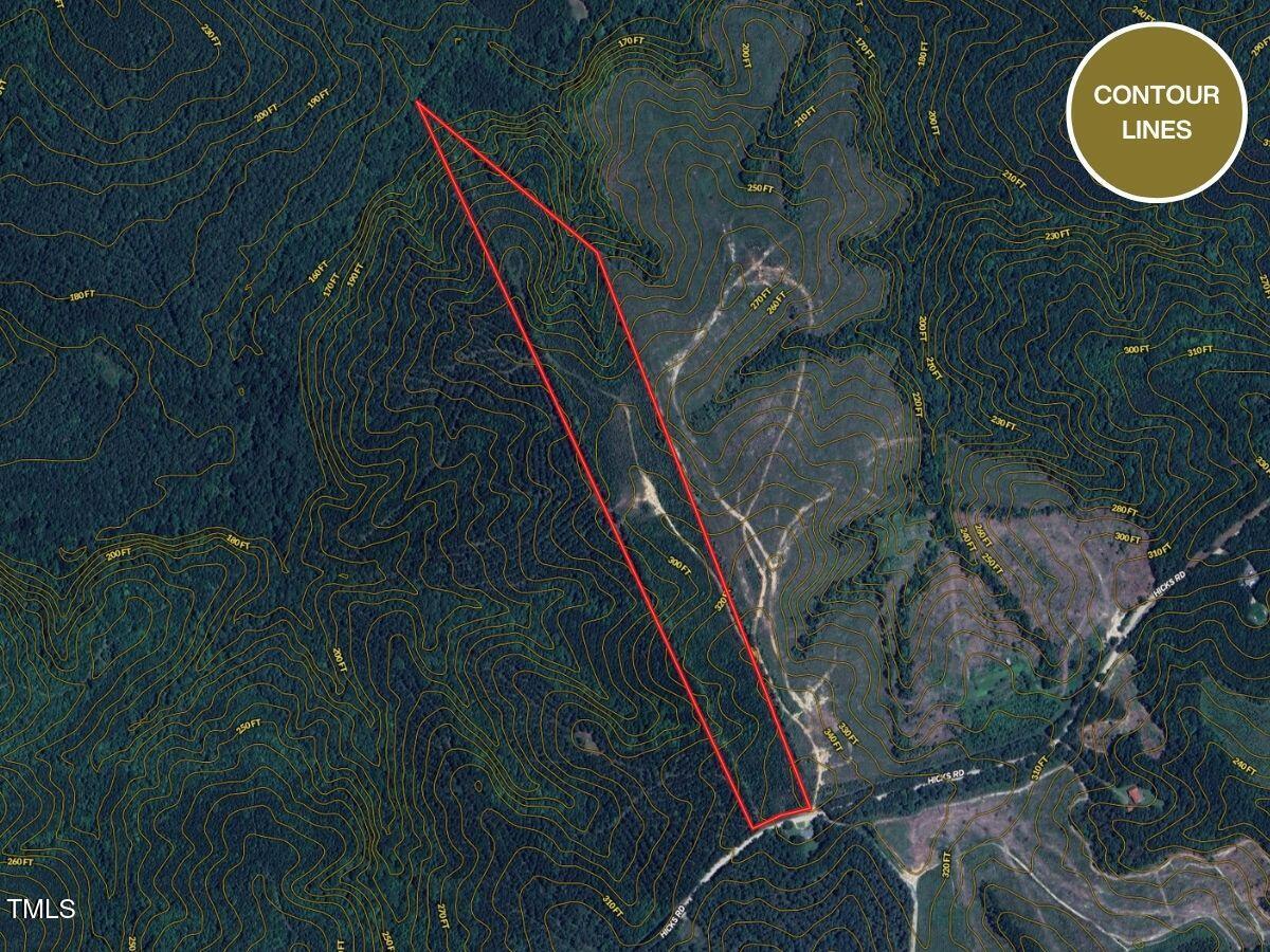 0 Hicks Road Broadway, NC 27505 - Photo 11 of 29 31.06ac - Harnett Co. (9)