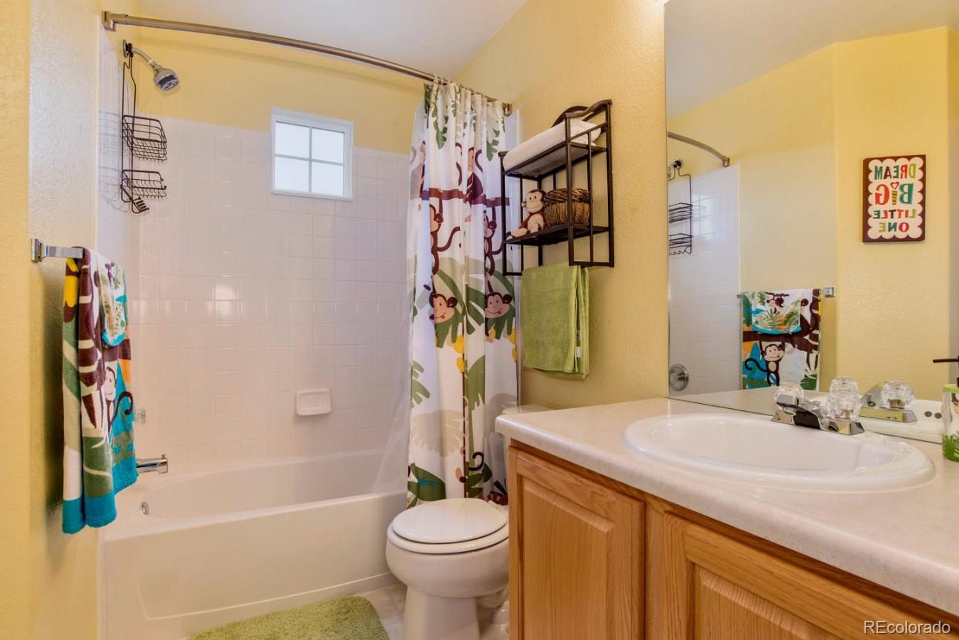 10232 Willowbridge Way Highlands Ranch, CO 80126 - Photo 22 of 33 a bathroom with a sink a toilet and shower