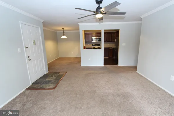 a view of a big room with closet and a ceiling fan
