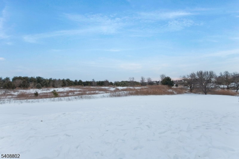 10 Raker Court Hillsborough, NJ 08844 - Photo 23 of 44 a view of lake