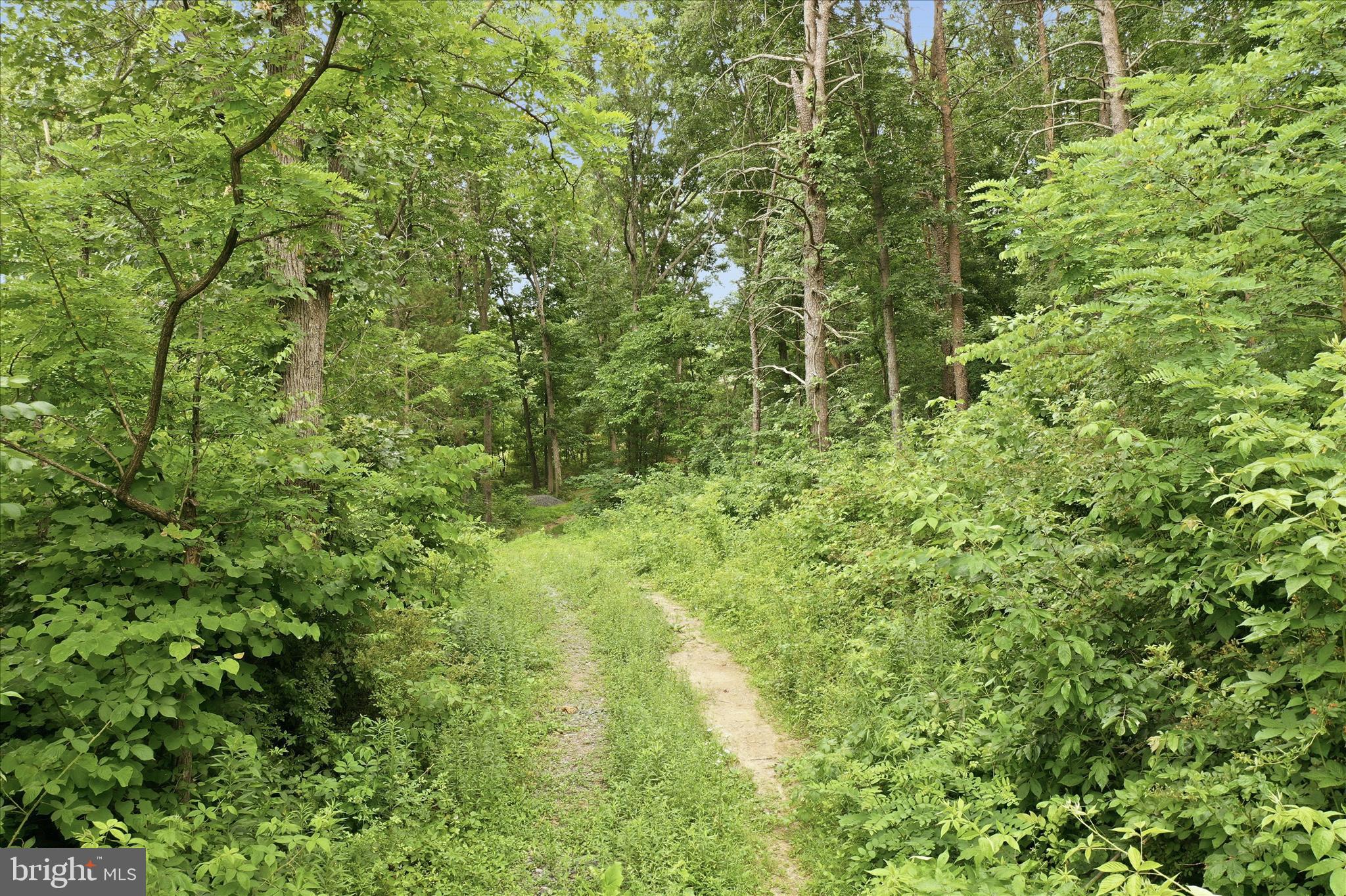 Messick Road Strasburg, VA 22657 - Photo 18 of 22