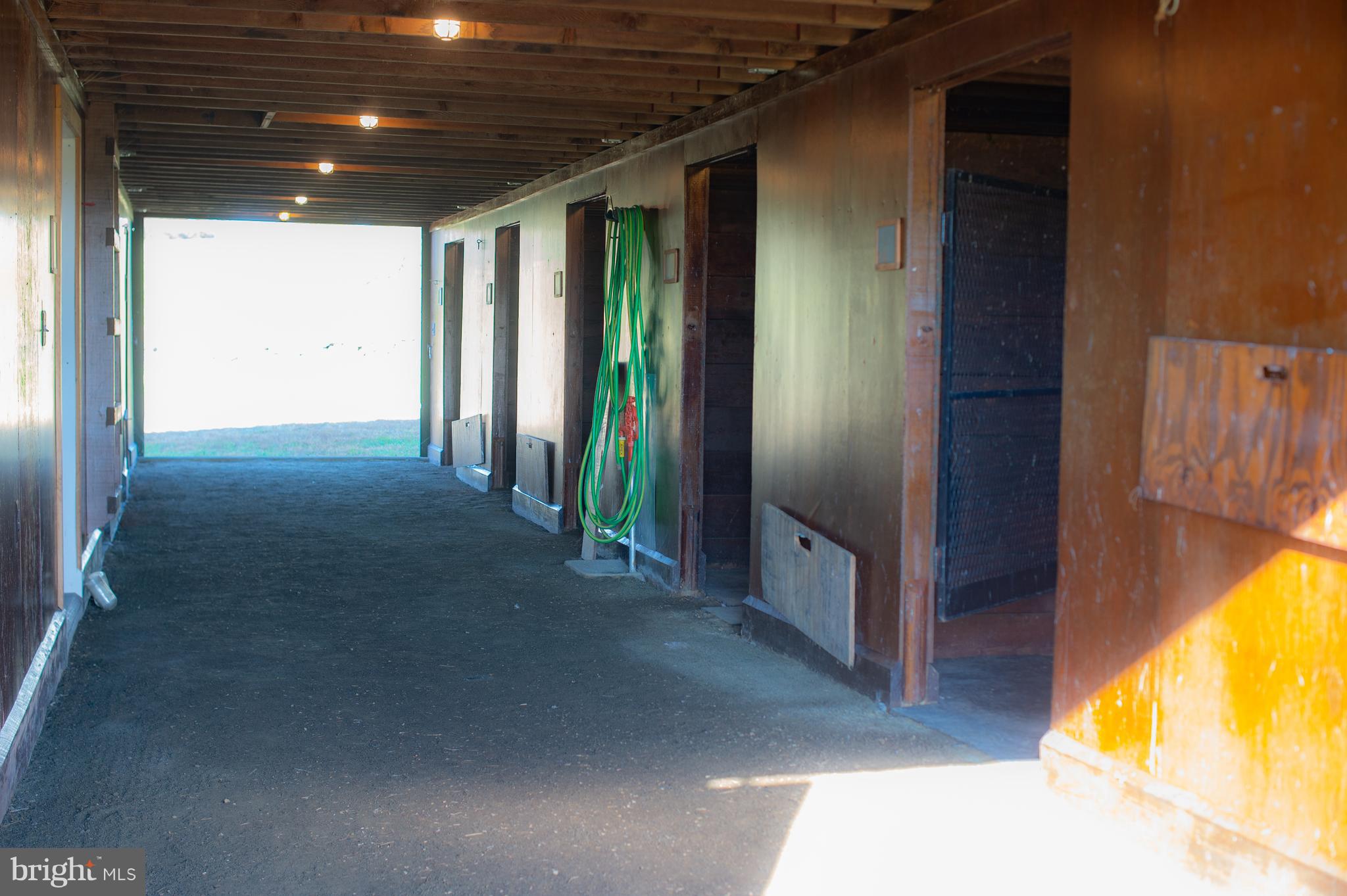 8467 Springs Road Warrenton, VA 20186 - Photo 25 of 28 Nine-stall stable