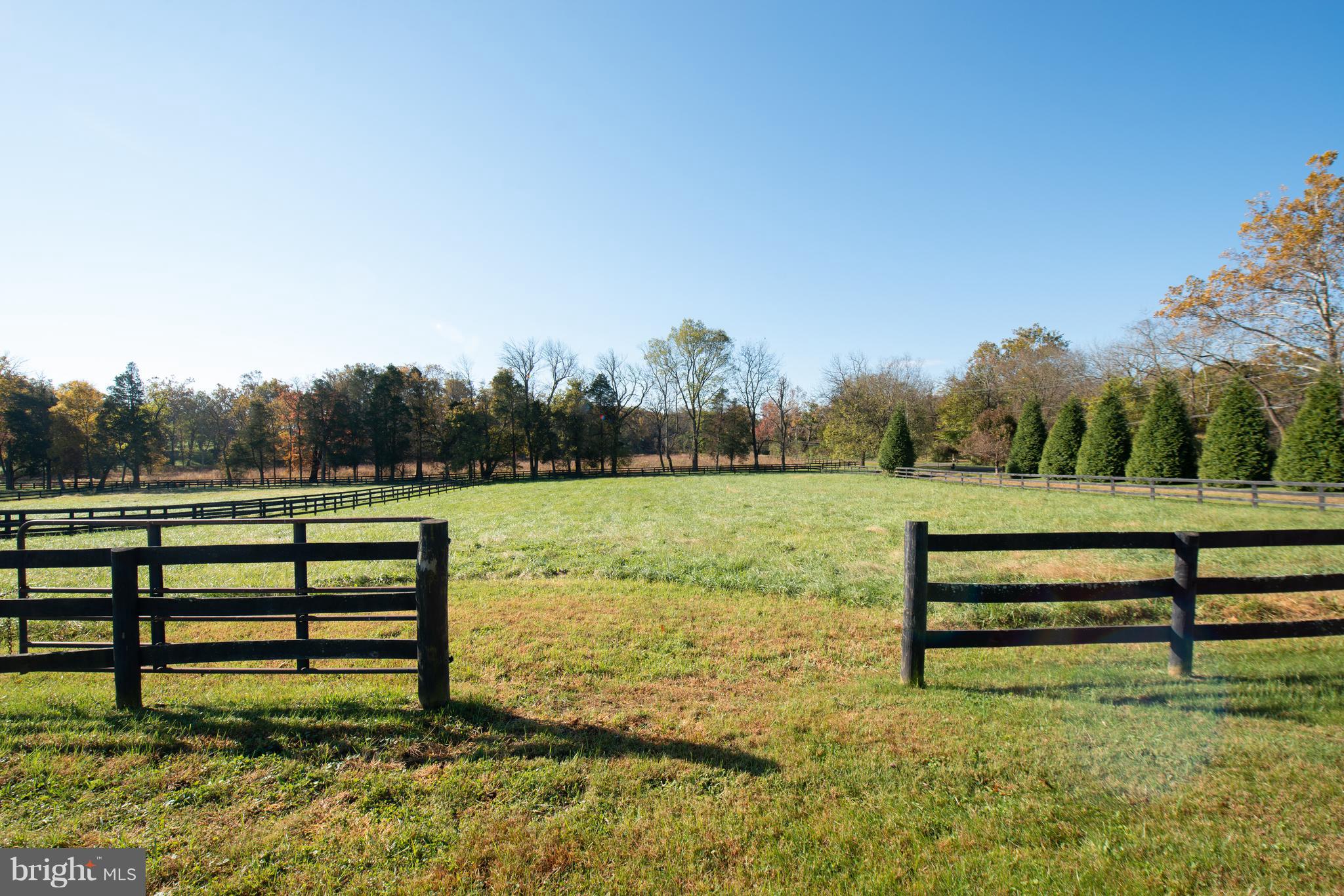8467 Springs Road Warrenton, VA 20186 - Photo 26 of 28 Two large paddocks