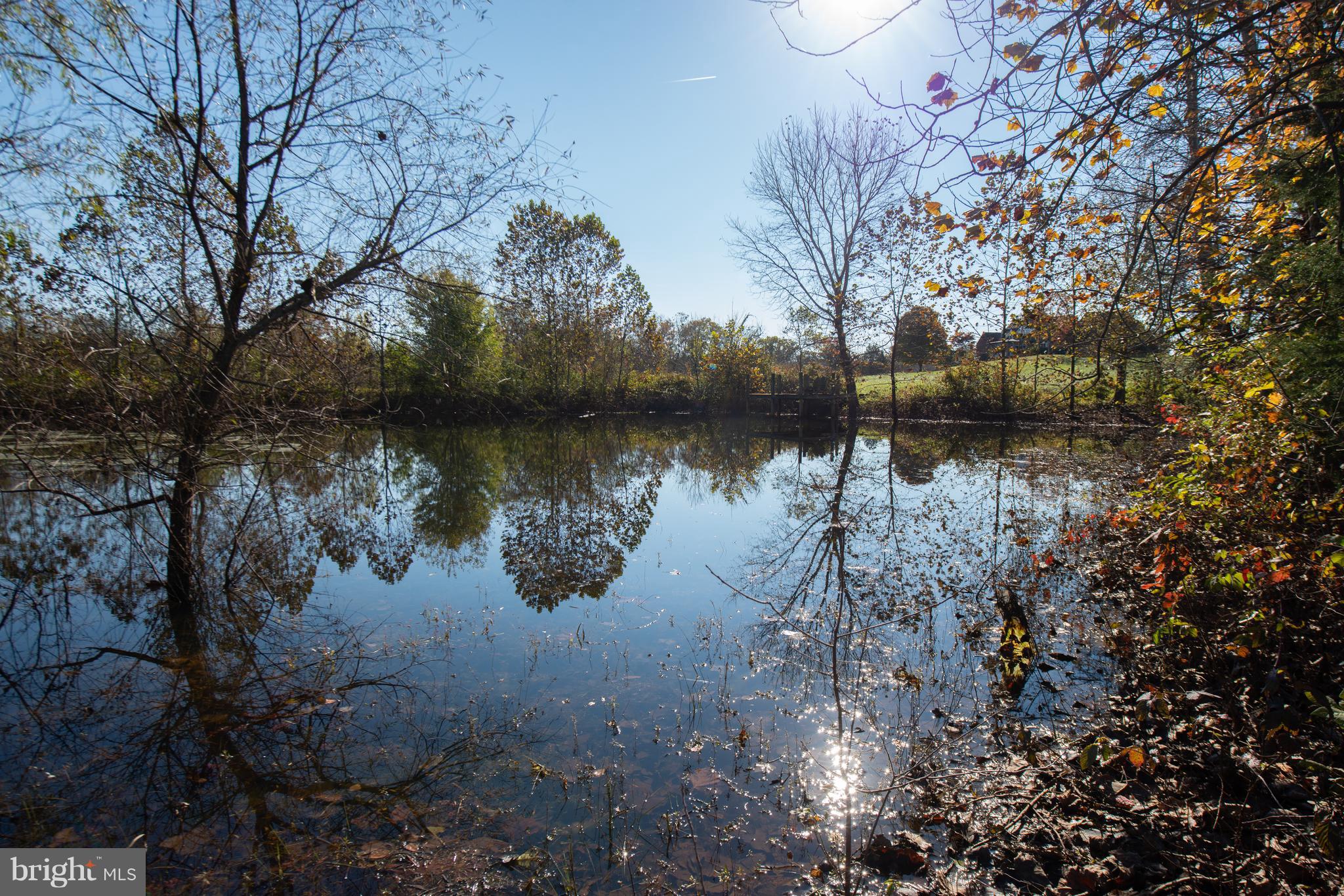 8467 Springs Road Warrenton, VA 20186 - Photo 28 of 28 Pond