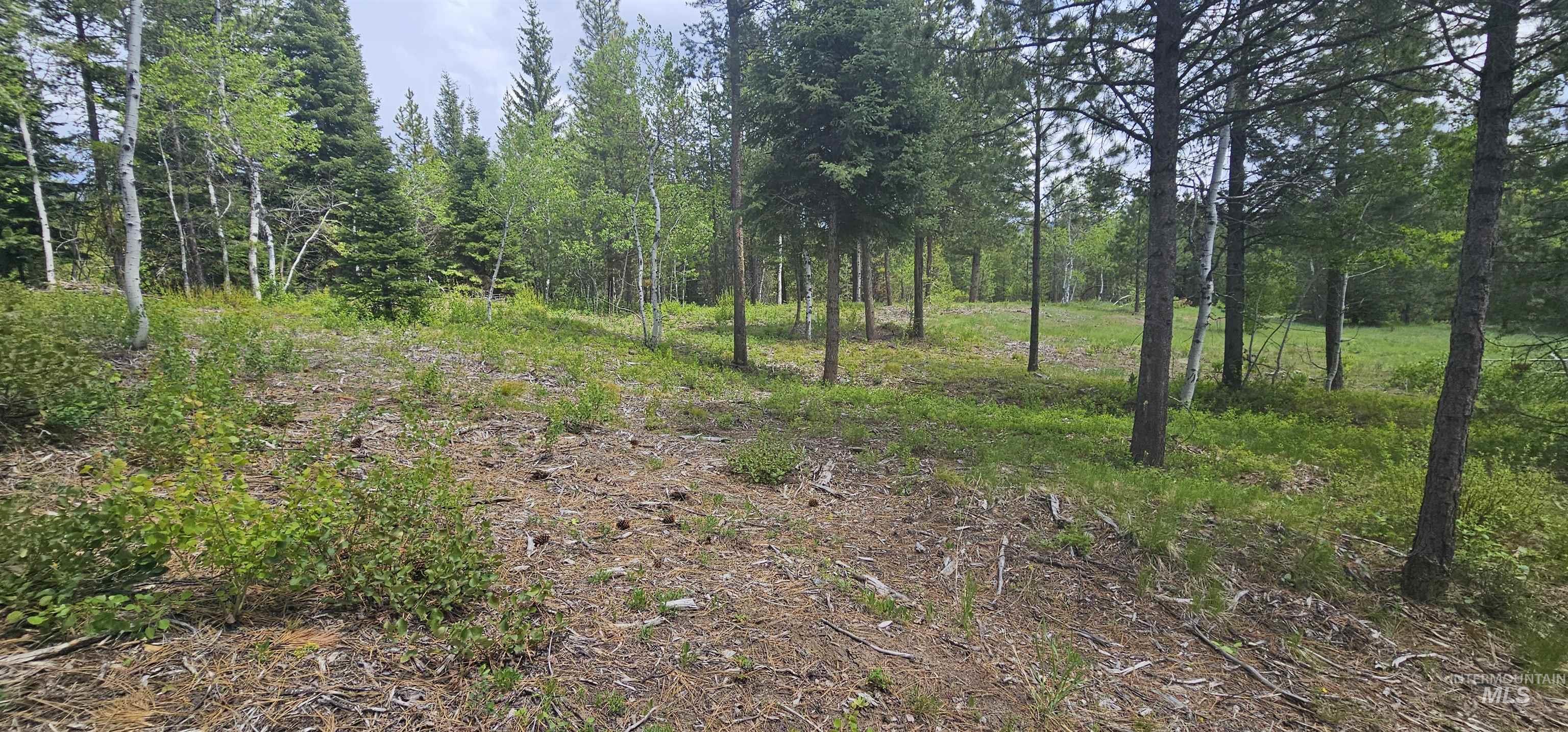 23 Sawtooth Loop Cascade, ID 83611 - Photo 18 of 45