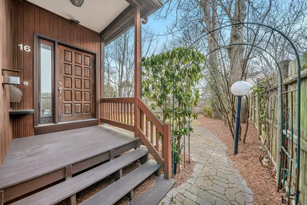 a view of backyard with a deck and large trees