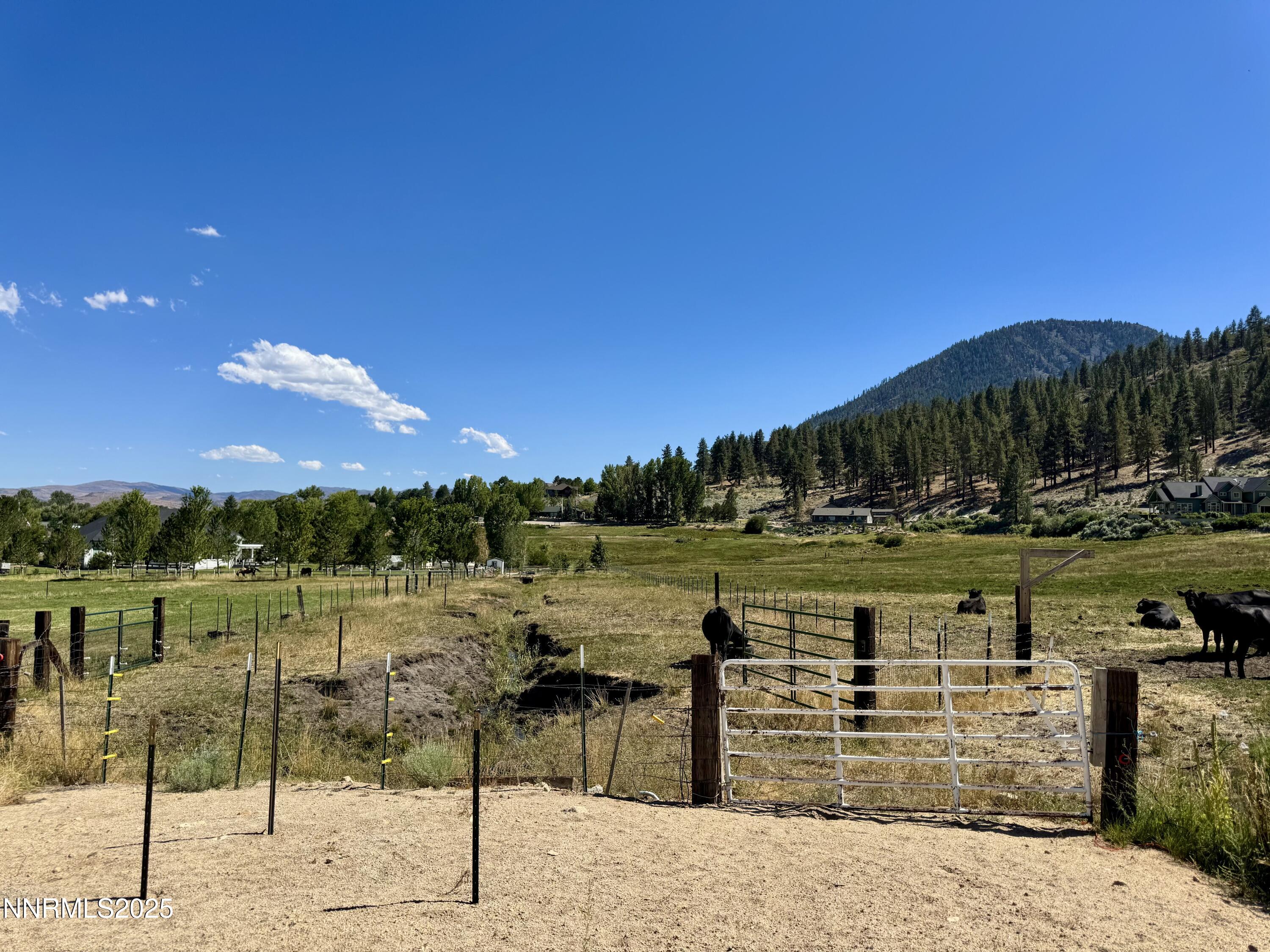 565 Jackson Ranch Road Gardnerville, NV 89460 - Photo 5 of 13 a view of a lake with a yard