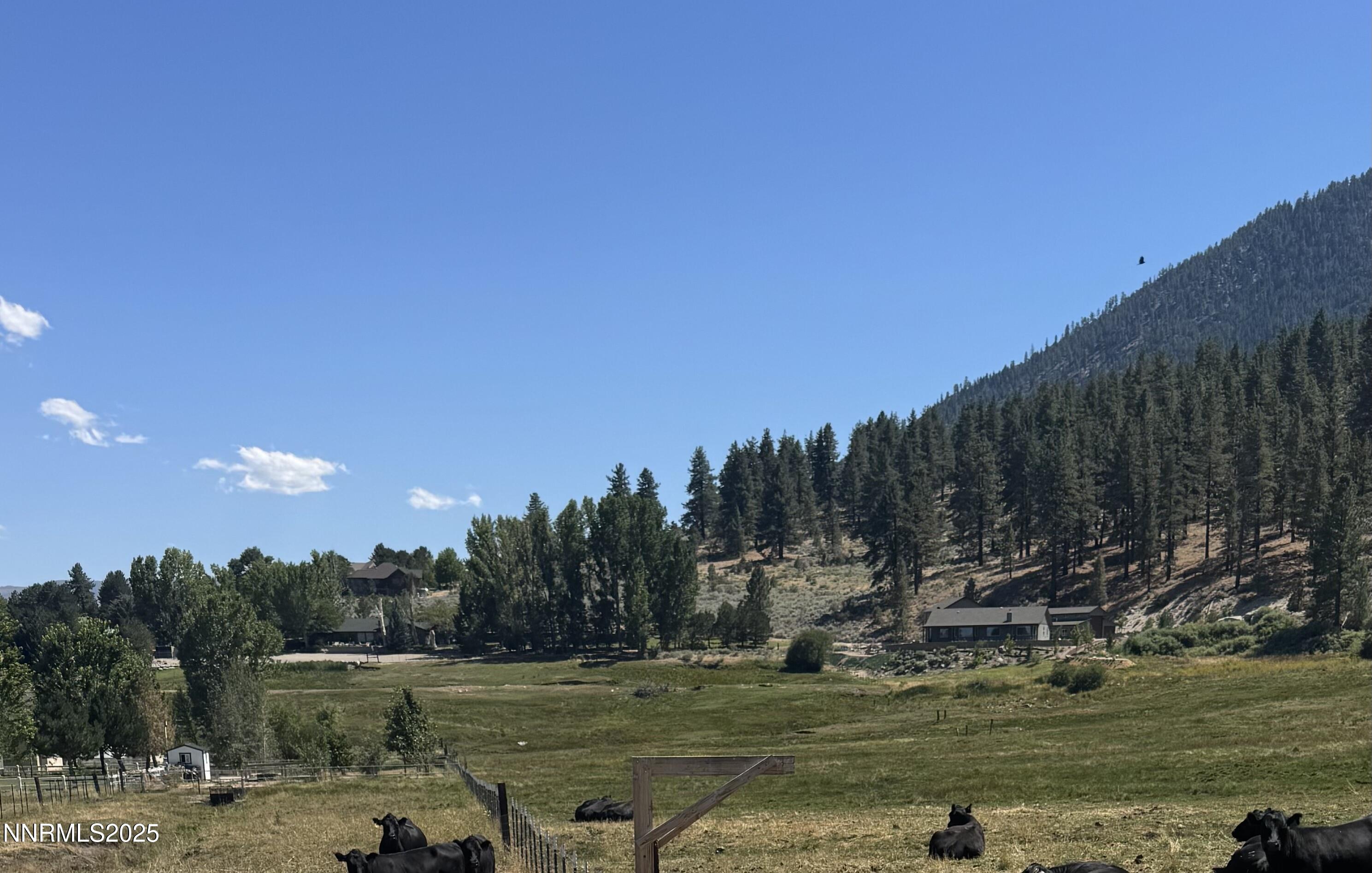 565 Jackson Ranch Road Gardnerville, NV 89460 - Photo 10 of 13 a view of a ocean with a large trees