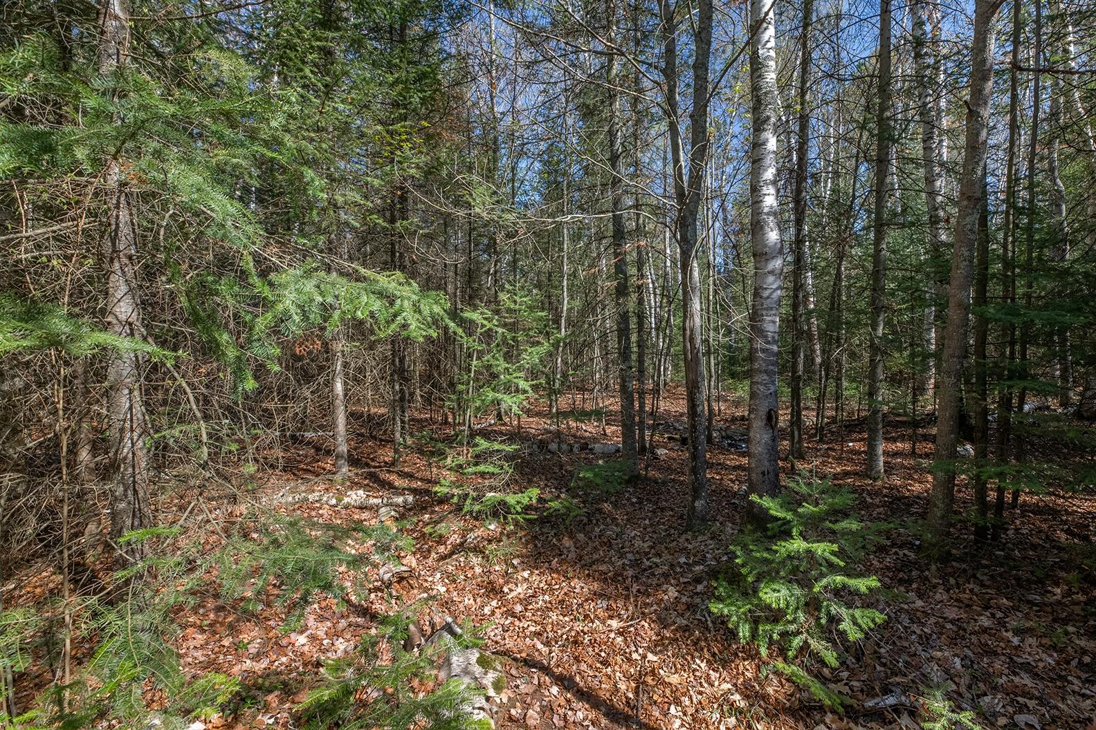 Off Marquard Road Eagle River, WI 54521 - Photo 6 of 20 Gallery Image 6
