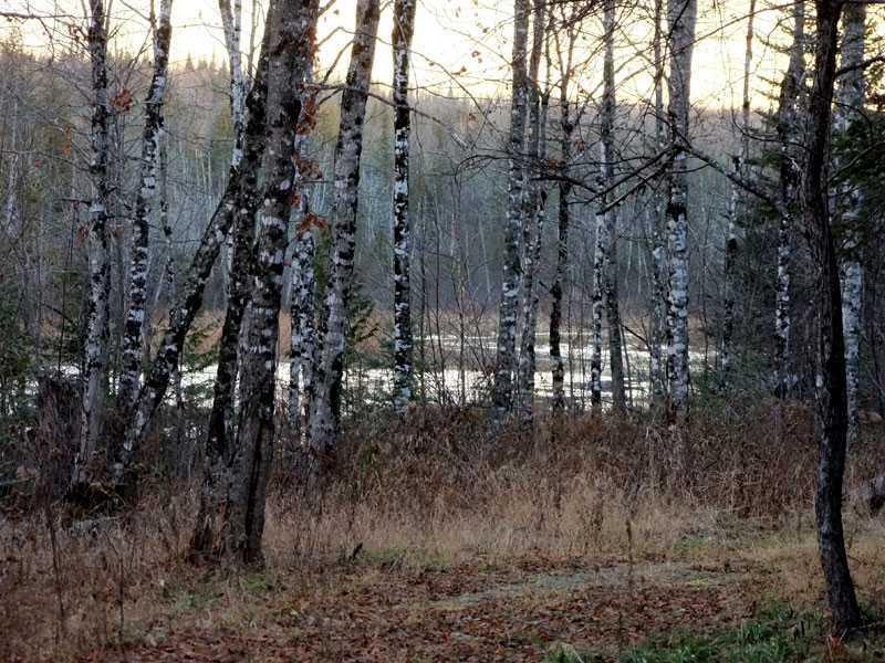 Lot 2 Brown Road Oakfield, ME 04763 - Photo 14 of 31 Land.