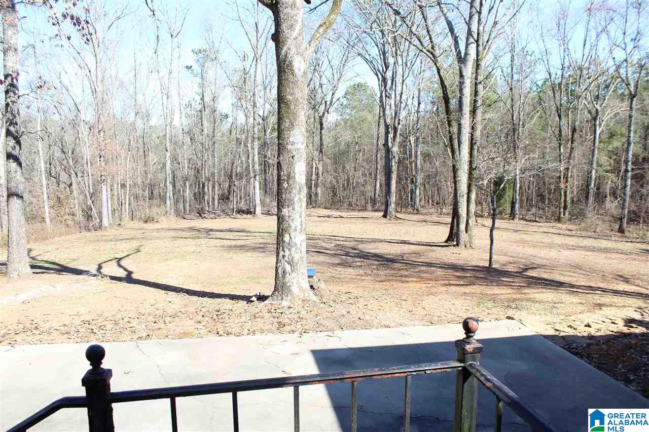 6399 Mays Bend Road Pell City, AL 35128 - Photo 17 of 17