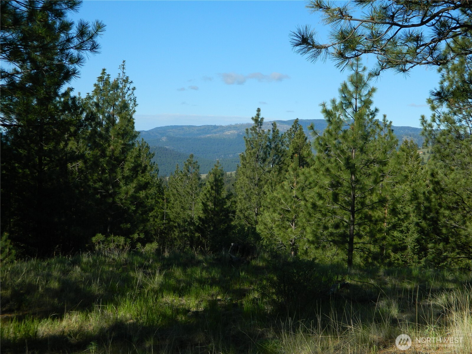 151 Indian Mary Loop Road Tonasket, WA 98855 - Photo 11 of 20