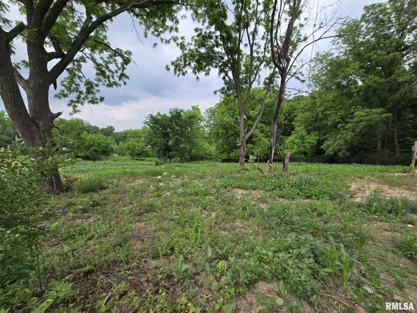 4456 115th Street Clinton, IA 52732 - Photo 8 of 18