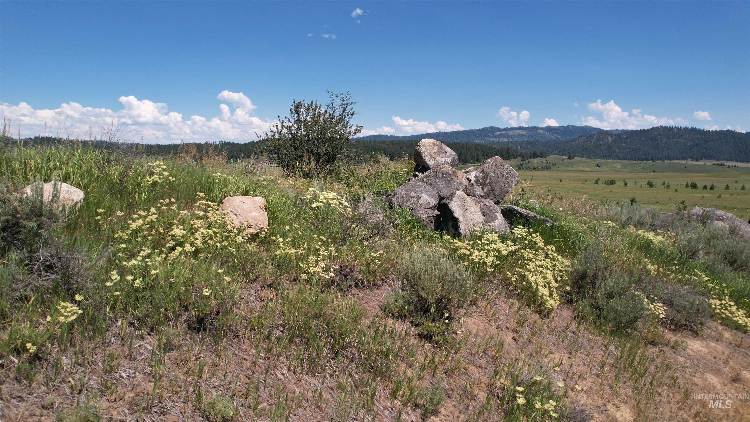 Lot 7 Wilderness Ranch Lane Cascade, ID 83611 - Photo 14 of 46 View of mountain background
