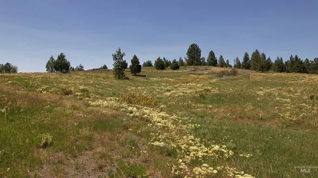 $149,000 | Lot 7 Wilderness Ranch Lane, Cascade, ID 83611