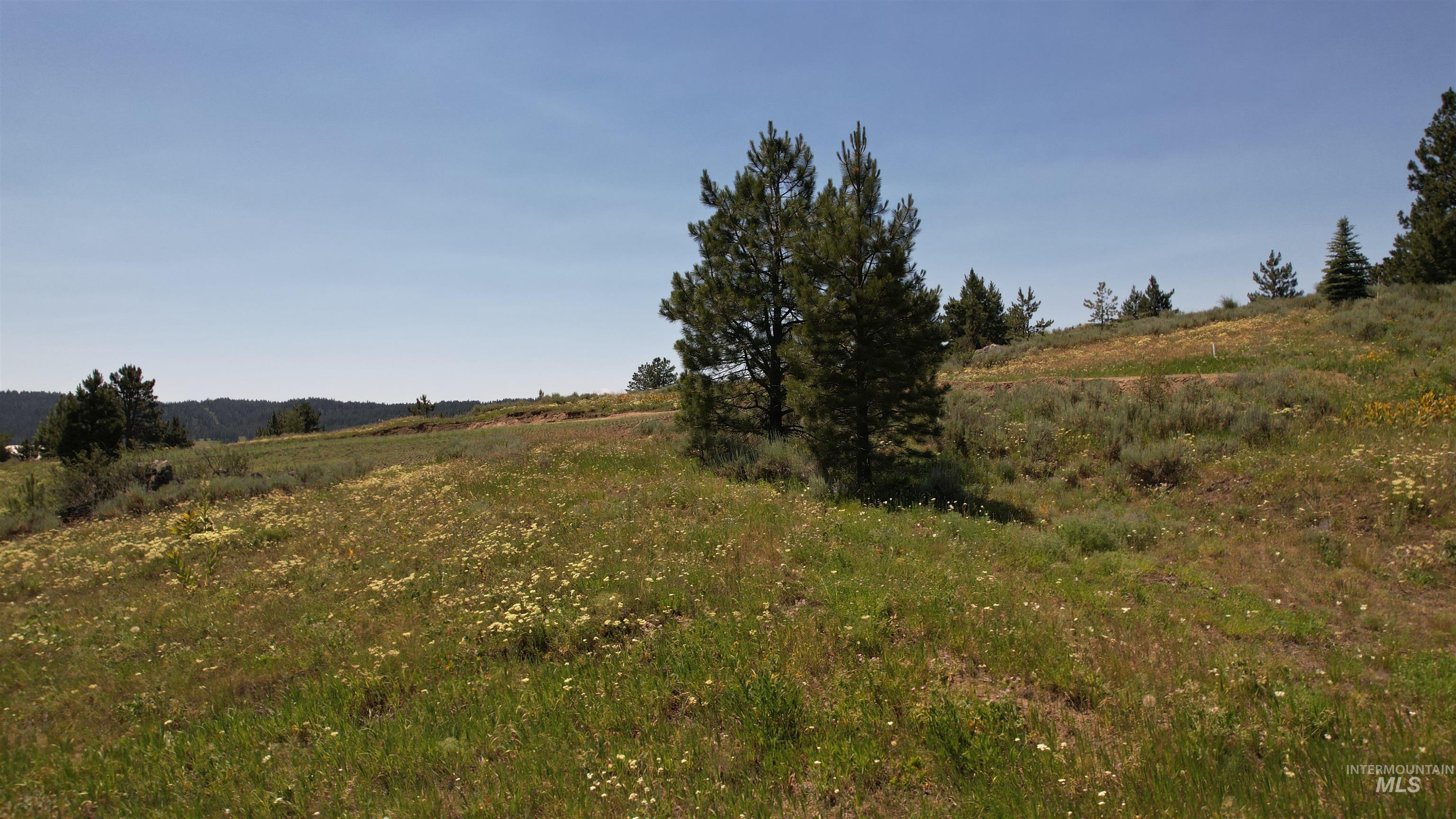 Lot 7 Wilderness Ranch Lane Cascade, ID 83611 - Photo 19 of 46 View of undeveloped land with rural landscape