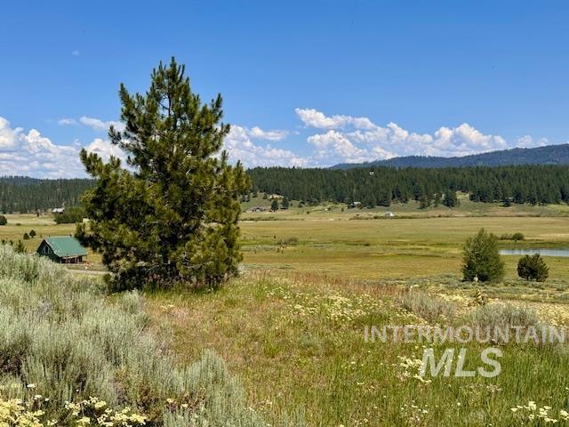 Lot 7 Wilderness Ranch Lane Cascade, ID 83611 - Photo 45 of 46 View of mountain backdrop with a heavily wooded area and rural landscape