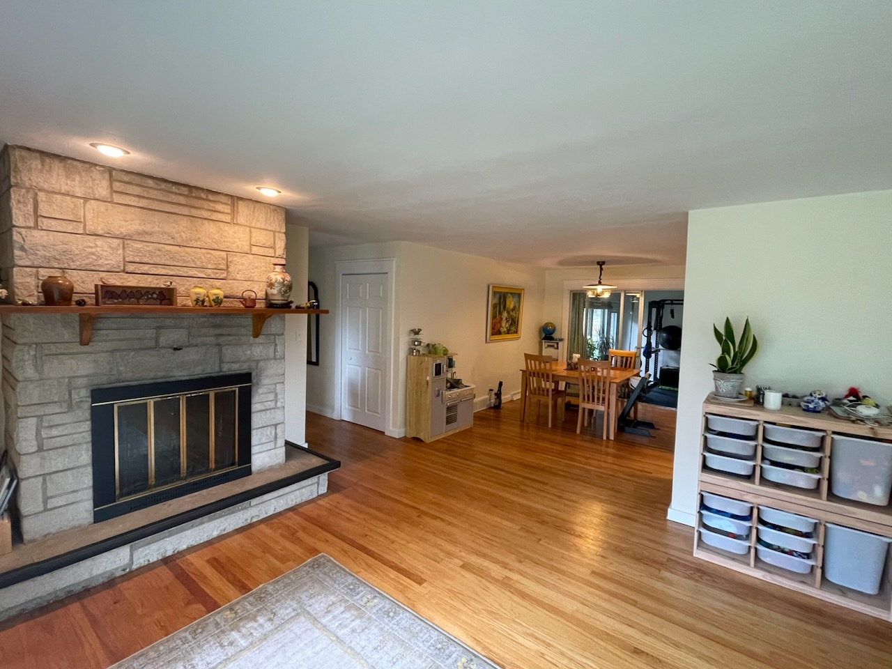 1008 Broadmoor Drive Champaign, IL 61821 - Photo 4 of 8 a living room with furniture and a fireplace