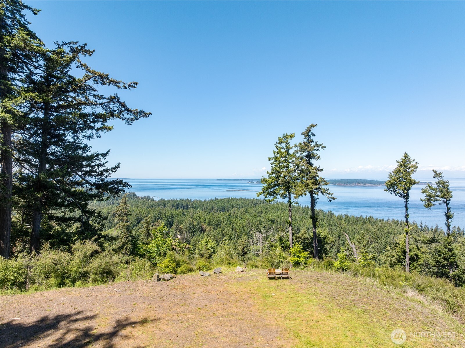 463 Wright Road Orcas Island, WA 98245 - Photo 30 of 40 a view of a yard with a tree