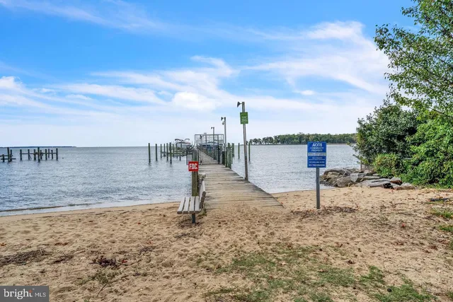 a view of a dry yard with a tiny house in the background