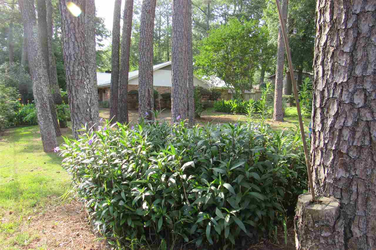 1805 Meadowbrook Road Jackson, MS 39211 - Photo 4 of 31 Photo 4