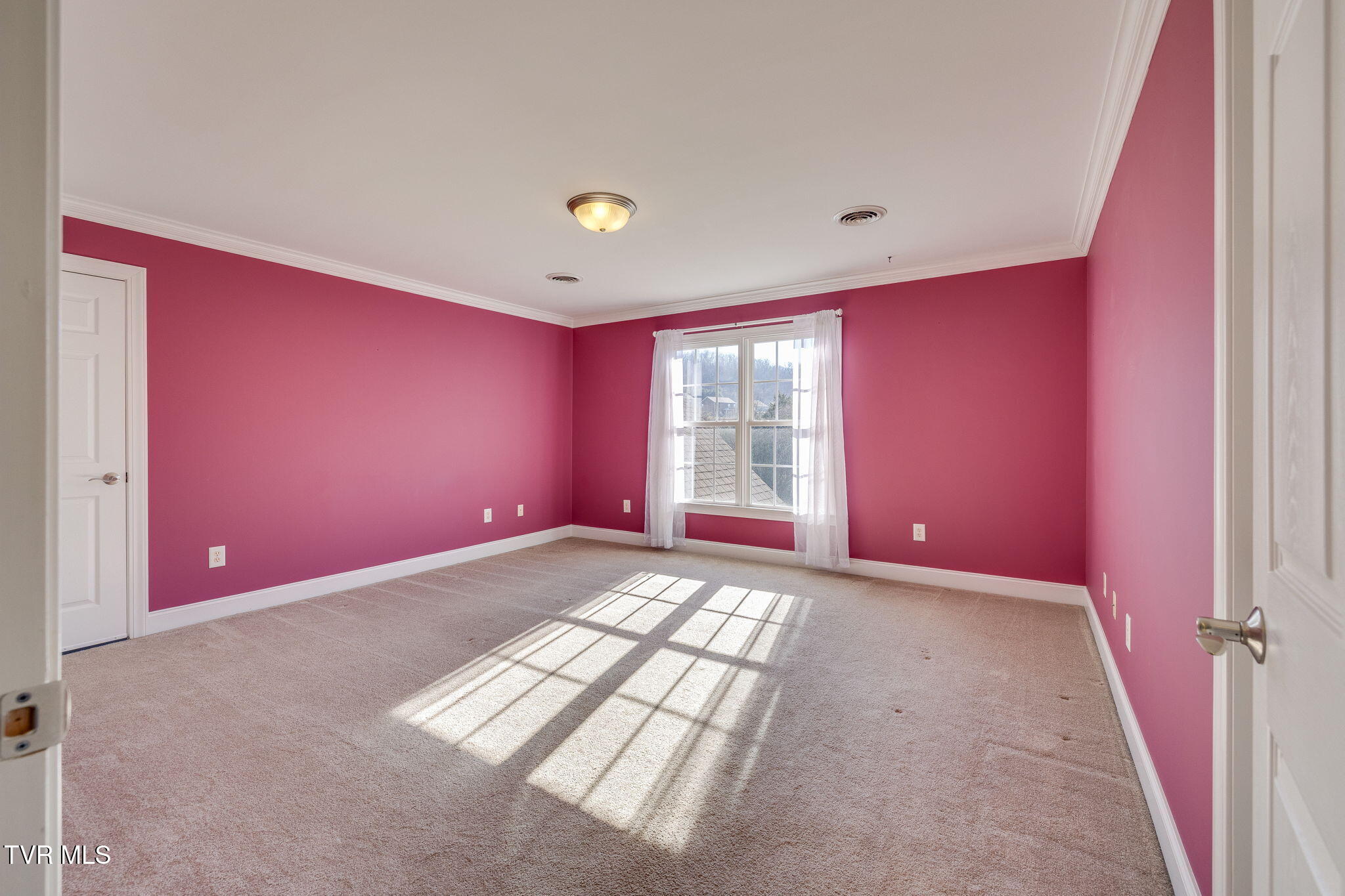 733 Rocky Branch Road Blountville, TN 37617 - Photo 41 of 68 039