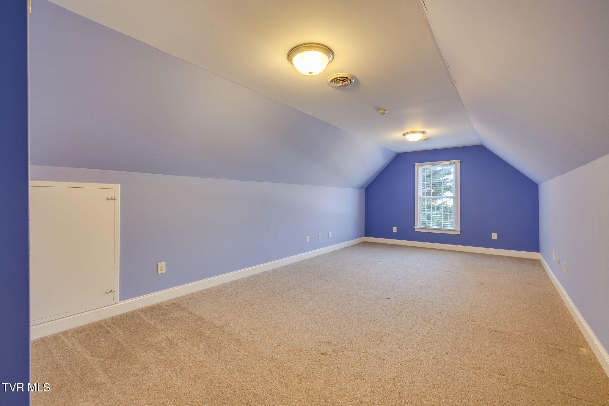 733 Rocky Branch Road Blountville, TN 37617 - Photo 48 of 68 033