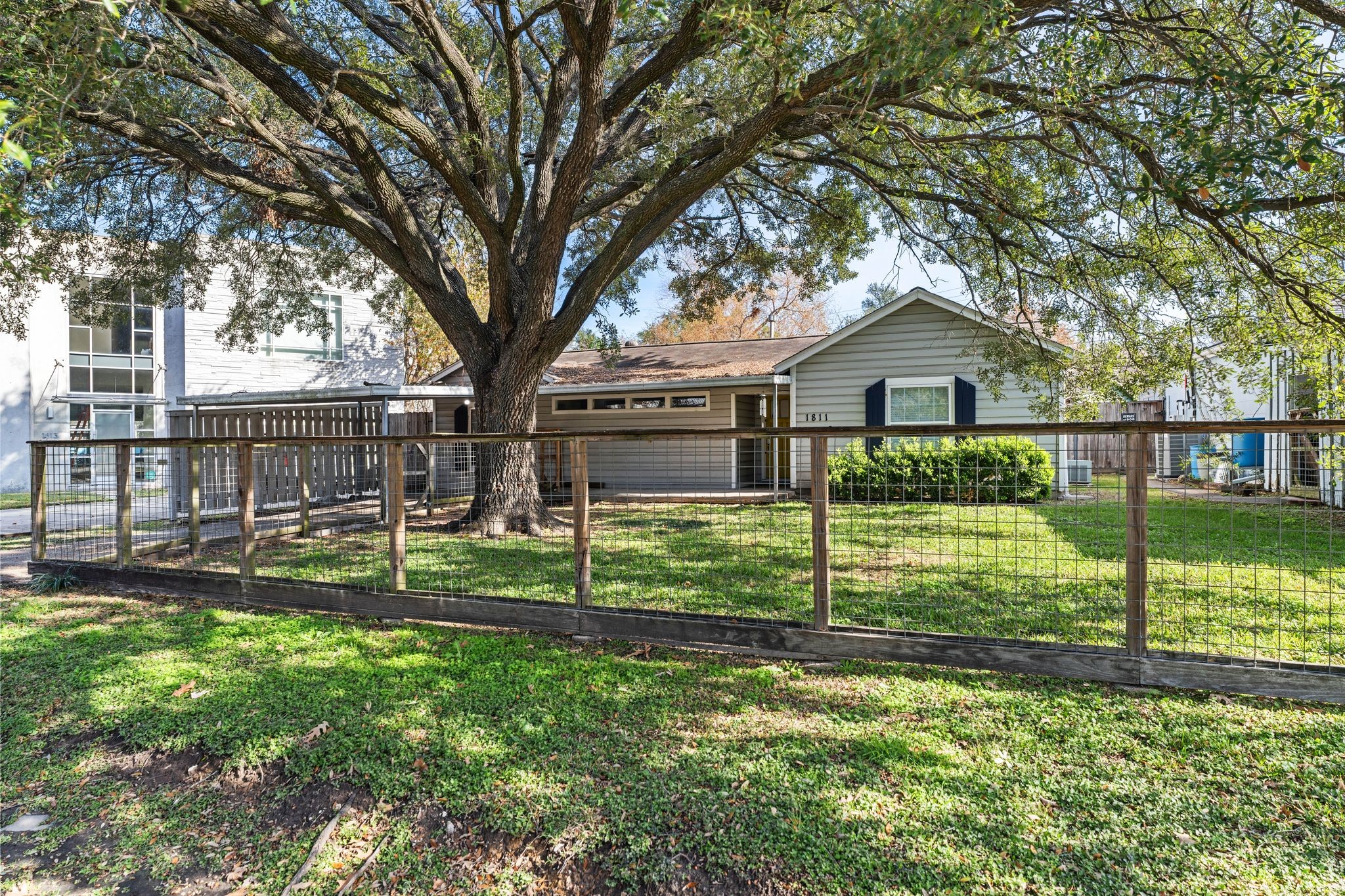 1811 West 14th 1/2 Street Houston, TX 77008 - Photo 2 of 25 a view of a house with backyard and a large tree
