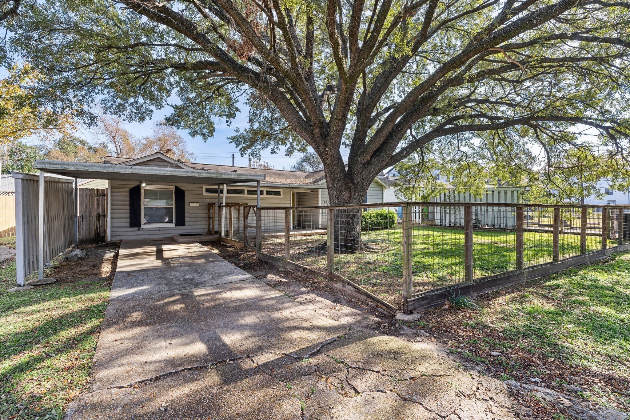 1811 West 14th 1/2 Street Houston, TX 77008 - Photo 3 of 25 a view of a house with large tree in front of it