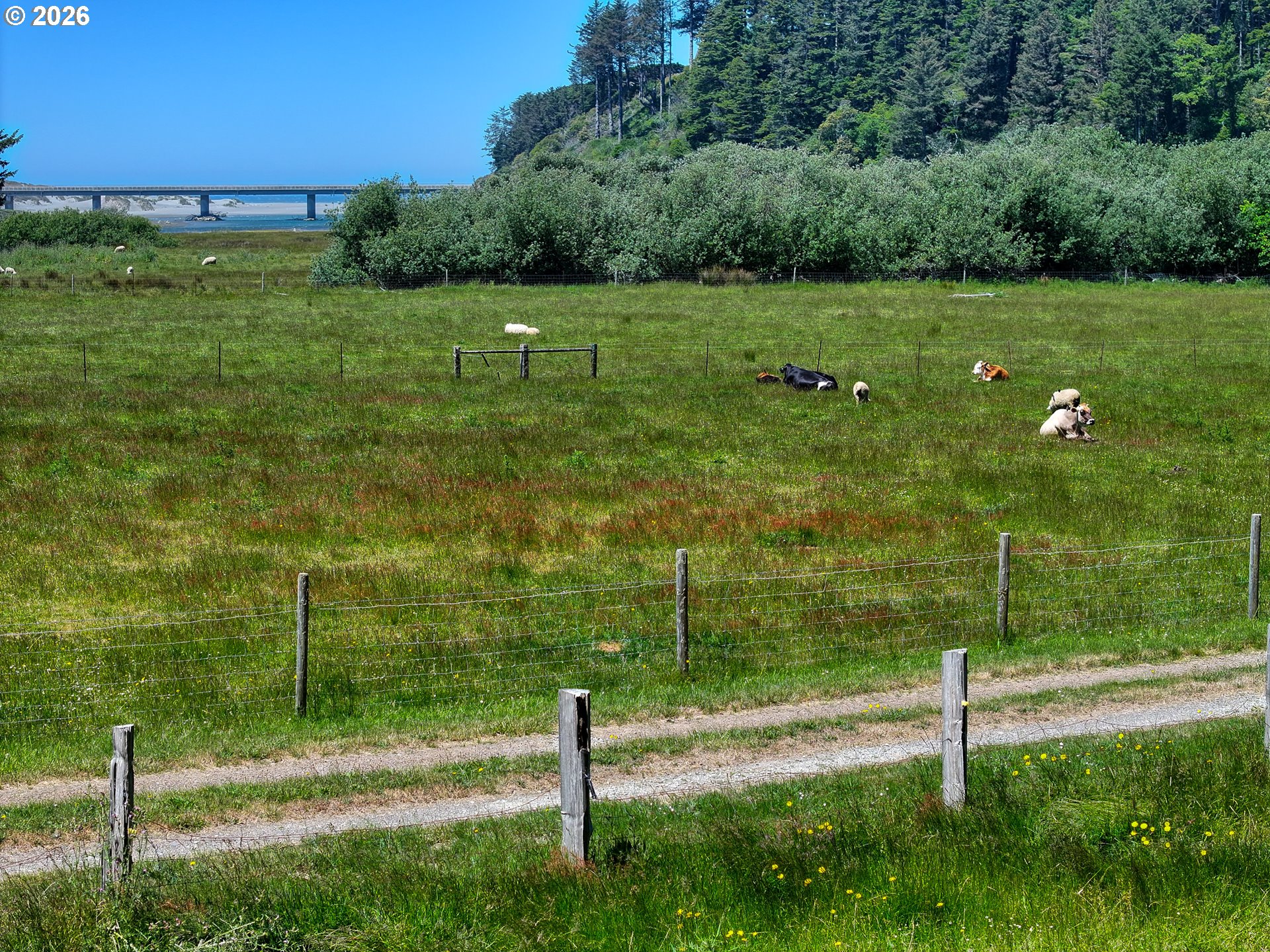 94665 North Bank Pistol River Road Gold Beach, OR 97444 - Photo 6 of 48 Acreage