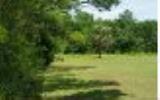0 Roses Bluff Road Yulee, FL 32097 - Photo 2 of 3 a view in yard