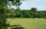 0 Roses Bluff Road Yulee, FL 32097 - Photo 3 of 3 a view of a yard
