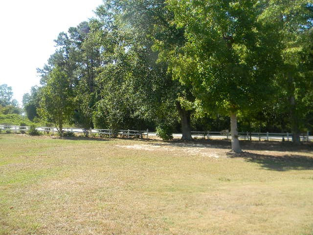 1856 Chestnut Street Orangeburg, SC 29118 - Photo 36 of 39 Photo 36