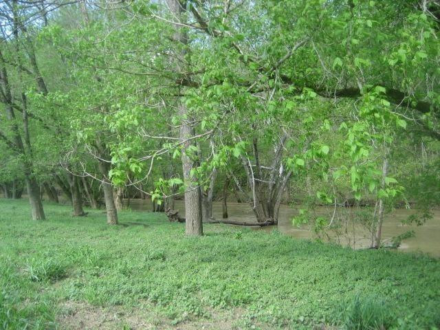 4158 Pinhook Road Mount Olivet, KY 41064 - Photo 31 of 35 Photo 31