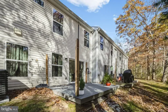 a view of yard with large trees